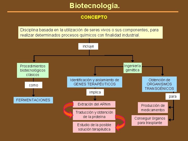Biotecnología. CONCEPTO Disciplina basada en la utilización de seres vivos o sus componentes, para
