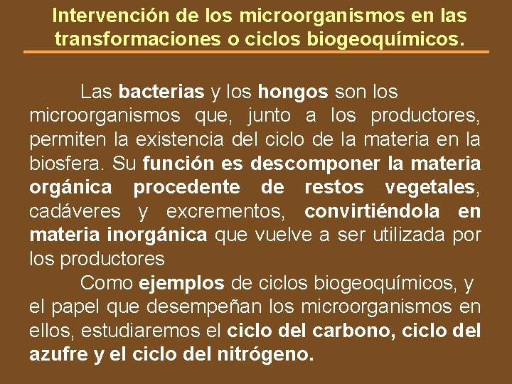 Intervención de los microorganismos en las transformaciones o ciclos biogeoquímicos. Las bacterias y los