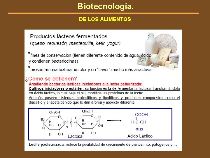 Biotecnología. DE LOS ALIMENTOS 