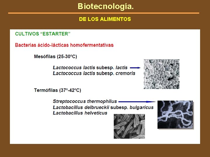 Biotecnología. DE LOS ALIMENTOS 
