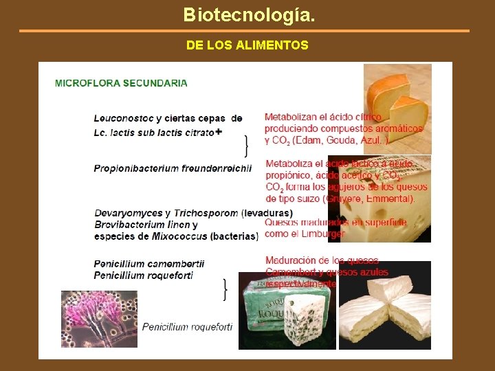 Biotecnología. DE LOS ALIMENTOS 