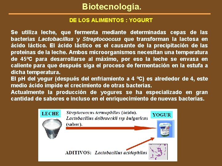 Biotecnología. DE LOS ALIMENTOS : YOGURT Se utiliza leche, que fermenta mediante determinadas cepas