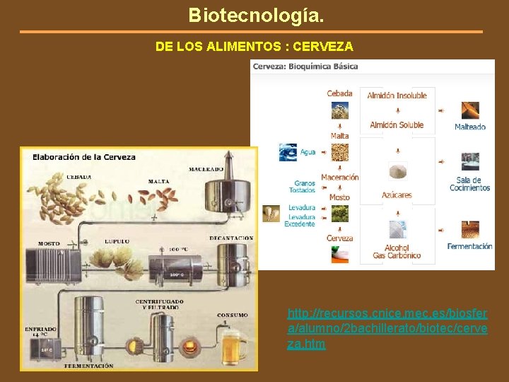 Biotecnología. DE LOS ALIMENTOS : CERVEZA http: //recursos. cnice. mec. es/biosfer a/alumno/2 bachillerato/biotec/cerve za.