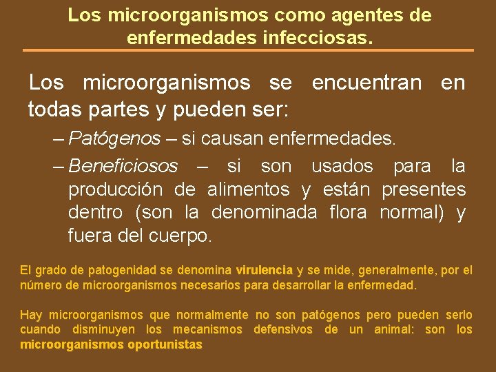 Los microorganismos como agentes de enfermedades infecciosas. Los microorganismos se encuentran en todas partes