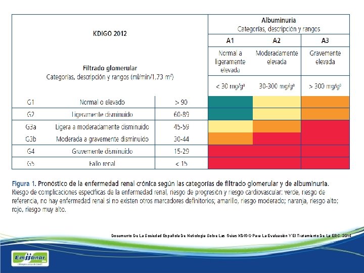 Documento De La Sociedad Española De Nefrología Sobre Las Guías KDIGO Para La Evaluación