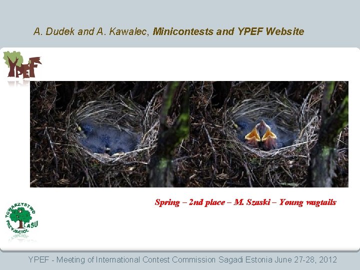 A. Dudek and A. Kawalec, Minicontests and YPEF Website Spring – 2 nd place