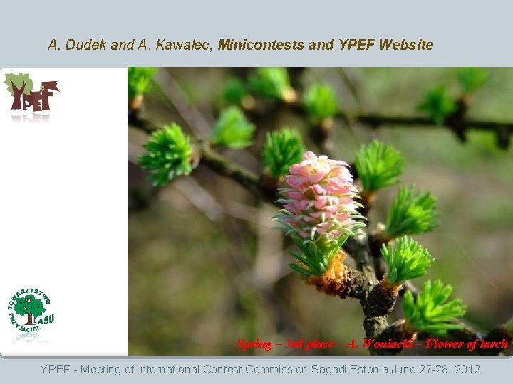 A. Dudek and A. Kawalec, Minicontests and YPEF Website Rezerwa 6 slajdów na 6