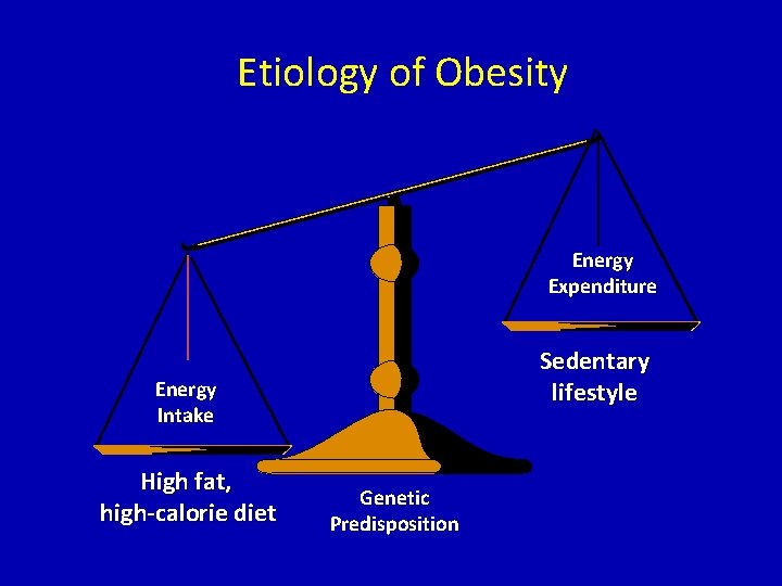 Etiology of Obesity Energy Expenditure Sedentary lifestyle Energy Intake High fat, high-calorie diet Genetic