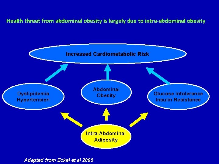Health threat from abdominal obesity is largely due to intra-abdominal obesity Increased Cardiometabolic Risk