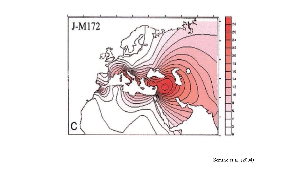 Semino et al. (2004) 