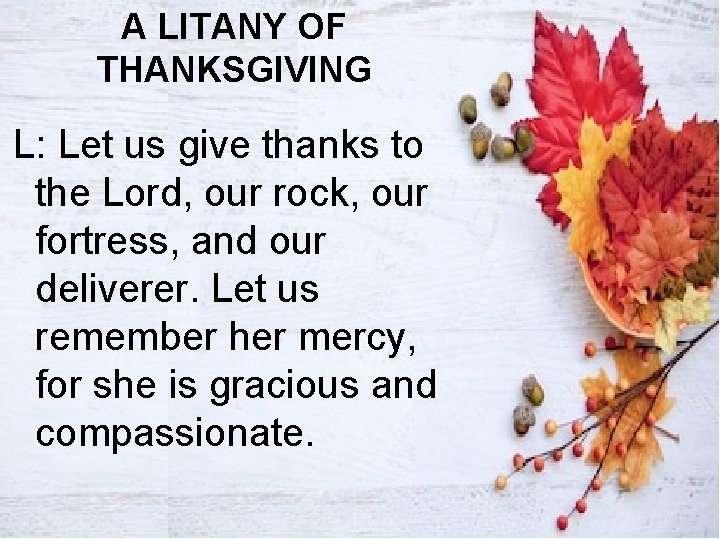 A LITANY OF THANKSGIVING L: Let us give thanks to the Lord, our rock,