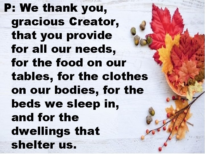 P: We thank you, gracious Creator, that you provide for all our needs, for