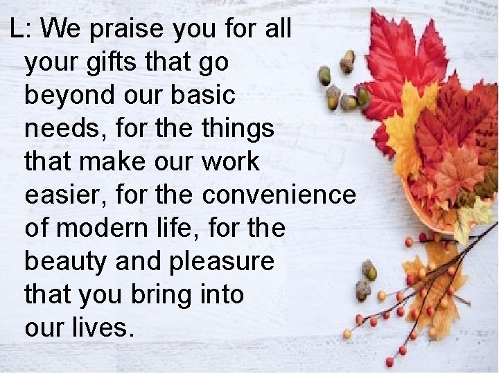 L: We praise you for all your gifts that go beyond our basic needs,