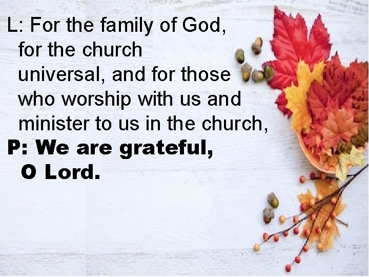 L: For the family of God, for the church universal, and for those who