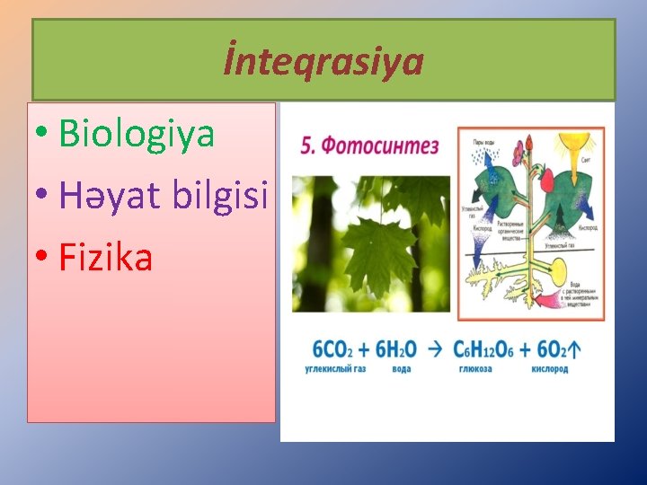 İnteqrasiya • Biologiya • Həyat bilgisi • Fizika 