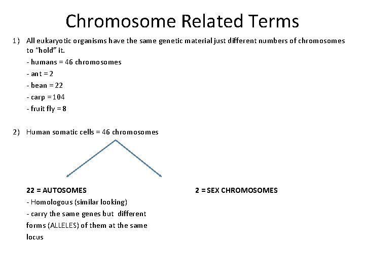 Chromosome Related Terms 1) All eukaryotic organisms have the same genetic material just different