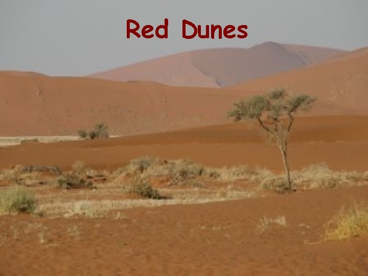 Red Dunes 