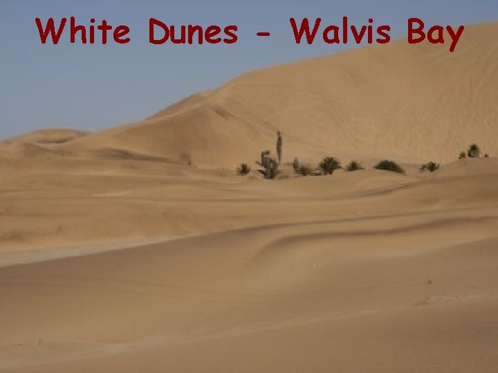 White Dunes - Walvis Bay 