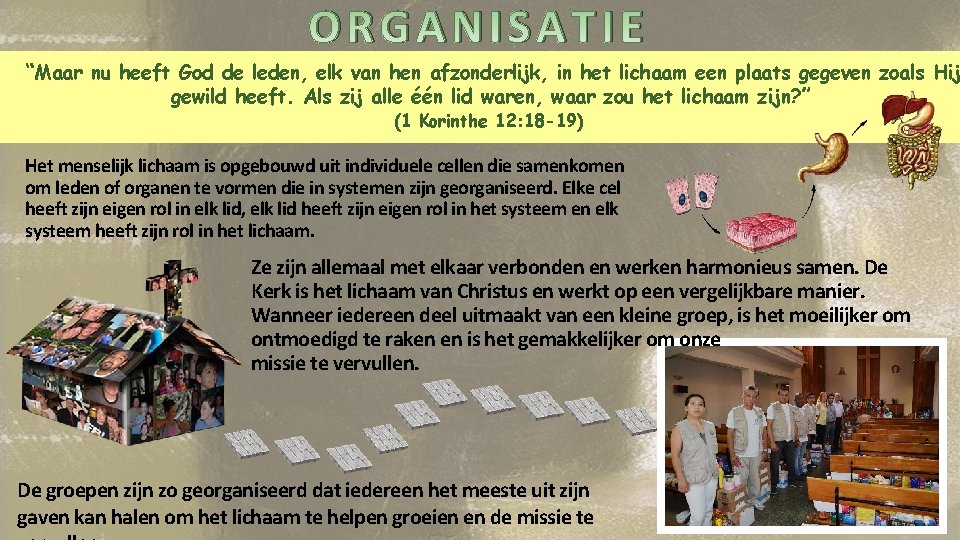 ORGANISATIE “Maar nu heeft God de leden, elk van hen afzonderlijk, in het lichaam