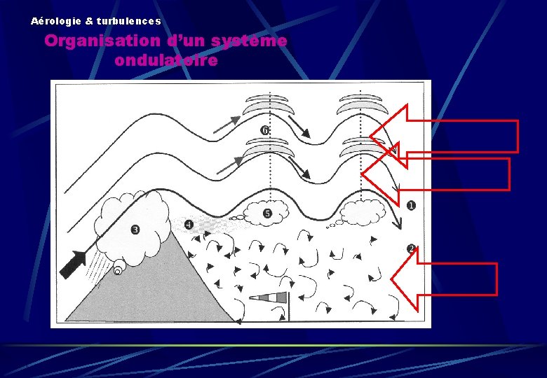 Aérologie & turbulences Organisation d’un système ondulatoire 