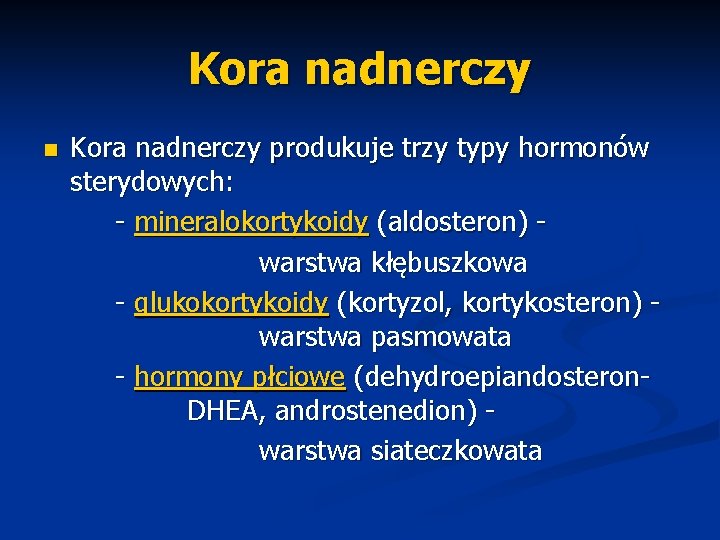 Kora nadnerczy n Kora nadnerczy produkuje trzy typy hormonów sterydowych: - mineralokortykoidy (aldosteron) warstwa