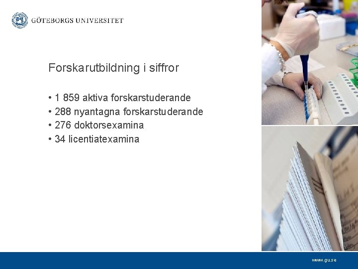 Forskarutbildning i siffror • 1 859 aktiva forskarstuderande • 288 nyantagna forskarstuderande • 276