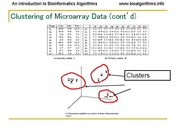 An Introduction to Bioinformatics Algorithms www. bioalgorithms. info Clustering of Microarray Data (cont’d) Clusters An Introduction to Bioinformatics Algorithms www. bioalgorithms. info Clustering of Microarray Data (cont’d) Clusters