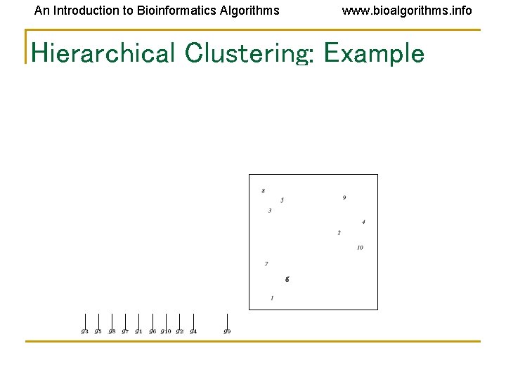 An Introduction to Bioinformatics Algorithms www. bioalgorithms. info Hierarchical Clustering: Example An Introduction to Bioinformatics Algorithms www. bioalgorithms. info Hierarchical Clustering: Example