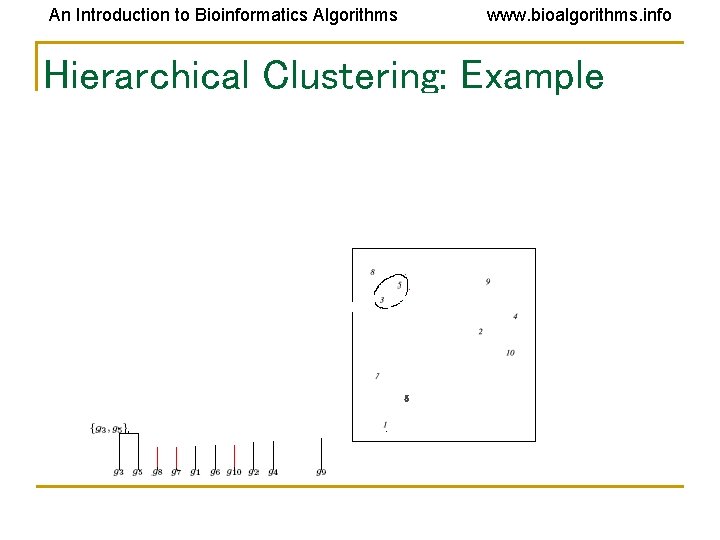 An Introduction to Bioinformatics Algorithms www. bioalgorithms. info Hierarchical Clustering: Example An Introduction to Bioinformatics Algorithms www. bioalgorithms. info Hierarchical Clustering: Example