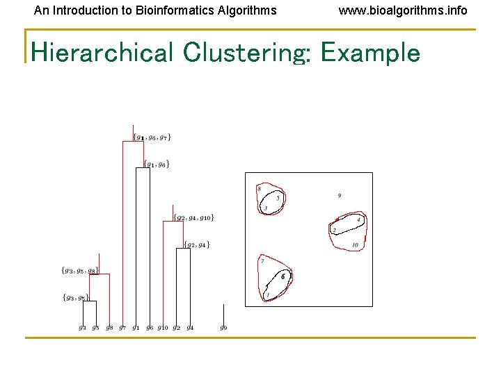 An Introduction to Bioinformatics Algorithms www. bioalgorithms. info Hierarchical Clustering: Example An Introduction to Bioinformatics Algorithms www. bioalgorithms. info Hierarchical Clustering: Example