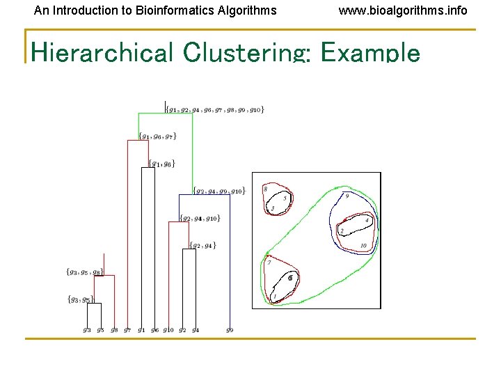 An Introduction to Bioinformatics Algorithms www. bioalgorithms. info Hierarchical Clustering: Example An Introduction to Bioinformatics Algorithms www. bioalgorithms. info Hierarchical Clustering: Example
