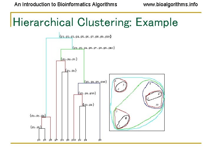 An Introduction to Bioinformatics Algorithms www. bioalgorithms. info Hierarchical Clustering: Example An Introduction to Bioinformatics Algorithms www. bioalgorithms. info Hierarchical Clustering: Example