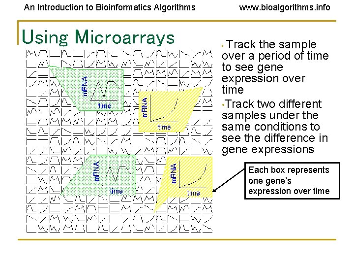 An Introduction to Bioinformatics Algorithms Using Microarrays www. bioalgorithms. info Track the sample over An Introduction to Bioinformatics Algorithms Using Microarrays www. bioalgorithms. info Track the sample over