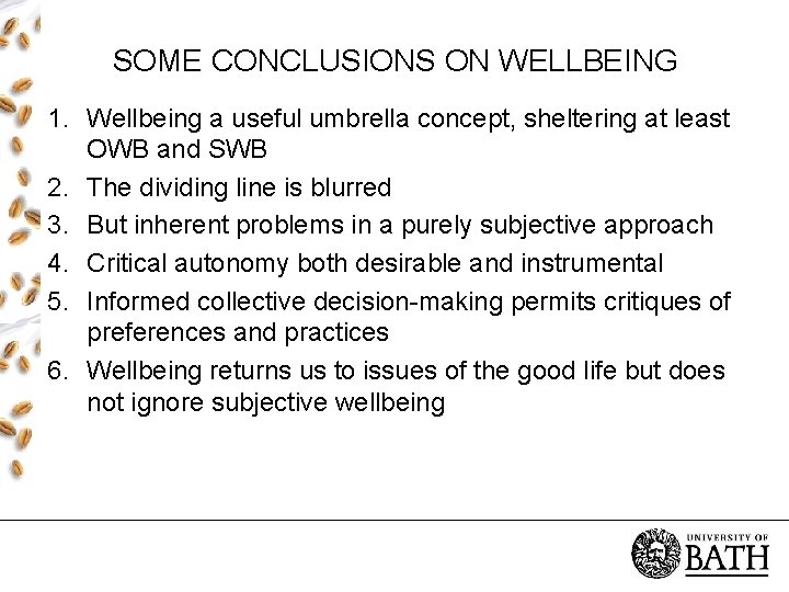 SOME CONCLUSIONS ON WELLBEING 1. Wellbeing a useful umbrella concept, sheltering at least OWB