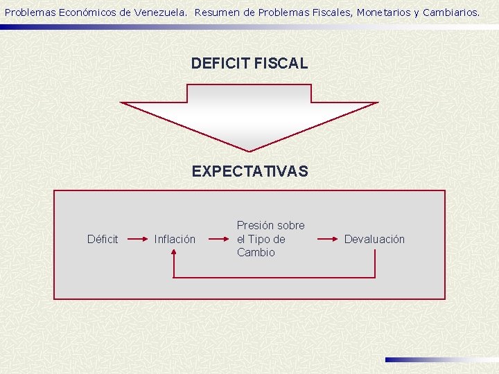 Problemas Económicos de Venezuela. Resumen de Problemas Fiscales, Monetarios y Cambiarios. DEFICIT FISCAL EXPECTATIVAS