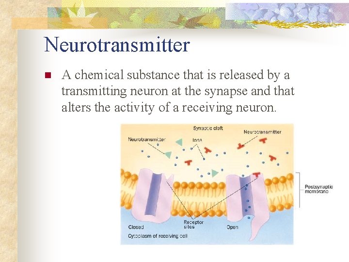 Neurotransmitter n A chemical substance that is released by a transmitting neuron at the