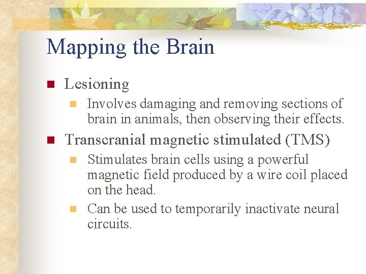 Mapping the Brain n Lesioning n n Involves damaging and removing sections of brain