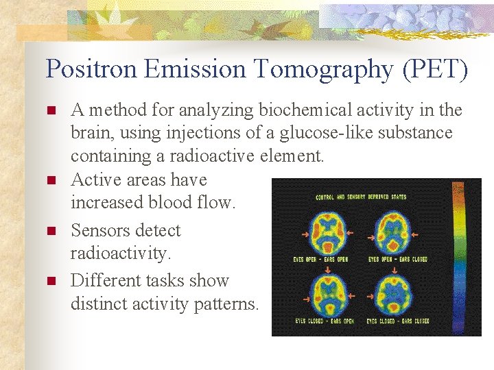 Positron Emission Tomography (PET) n n A method for analyzing biochemical activity in the