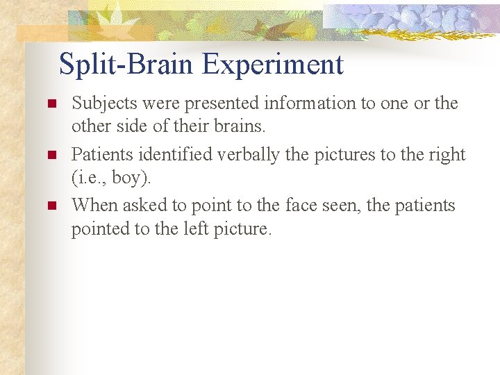 Split-Brain Experiment n n n Subjects were presented information to one or the other