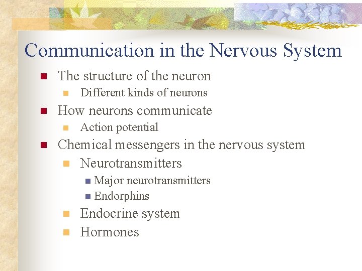 Communication in the Nervous System n The structure of the neuron n n How