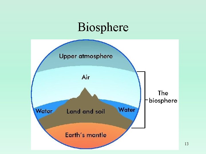 Biosphere 13 