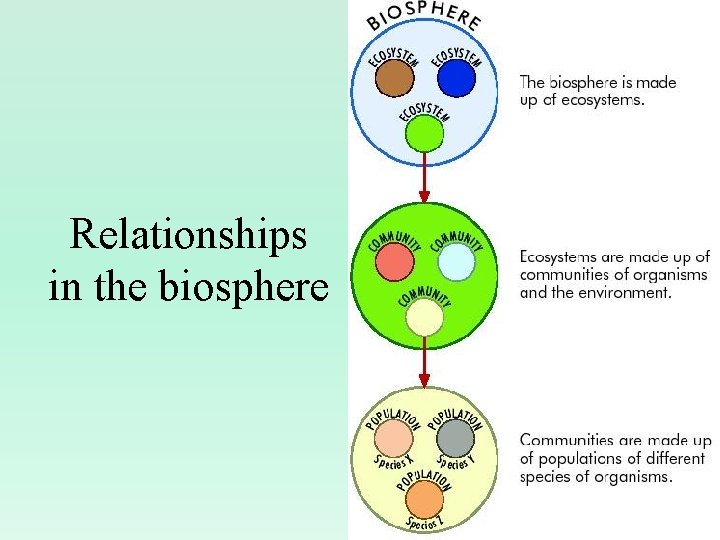 Relationships in the biosphere 14 