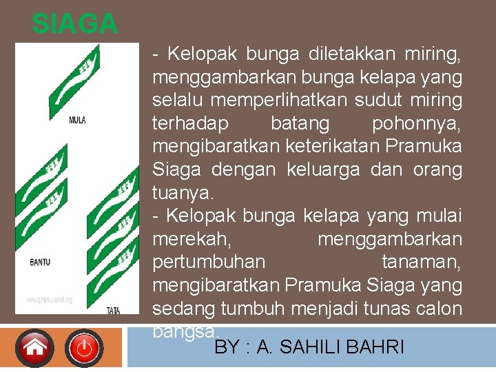 SIAGA - Kelopak bunga diletakkan miring, menggambarkan bunga kelapa yang selalu memperlihatkan sudut miring