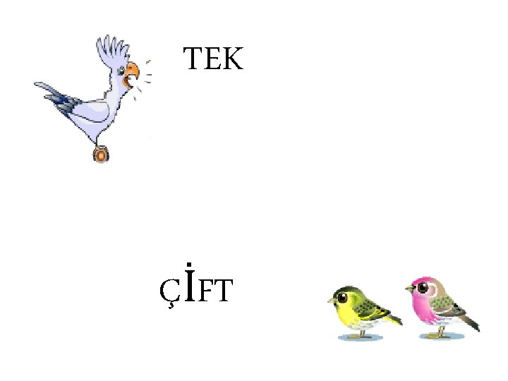 TEK ÇİFT 