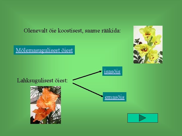 Olenevalt õie koostisest, saame rääkida: Mõlemasugulisest õiest isasõis Lahksugulisest õiest: emasõis 