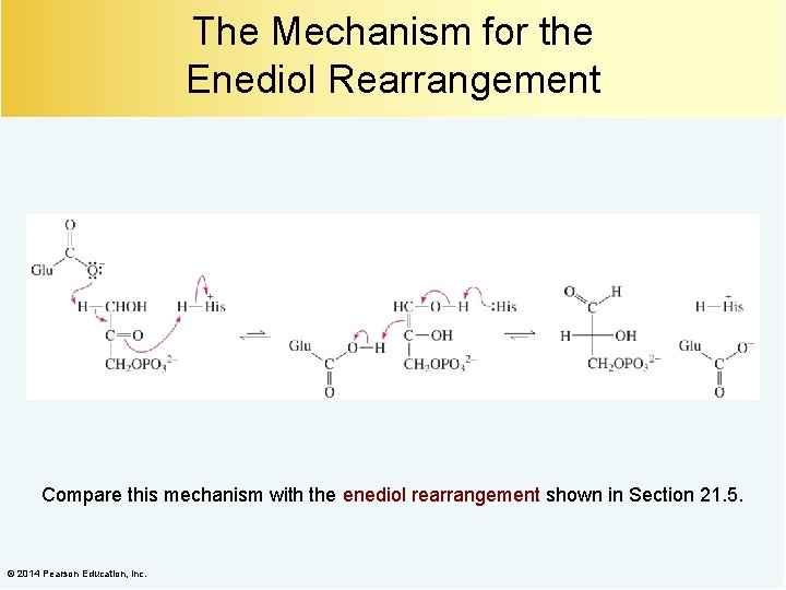 The Mechanism for the Enediol Rearrangement Compare this mechanism with the enediol rearrangement shown
