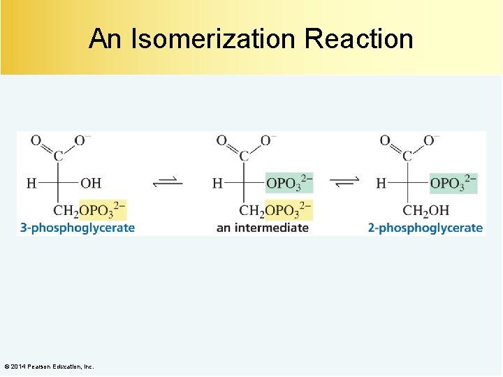 An Isomerization Reaction © 2014 Pearson Education, Inc. 