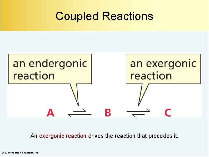 Coupled Reactions An exergonic reaction drives the reaction that precedes it. © 2014 Pearson