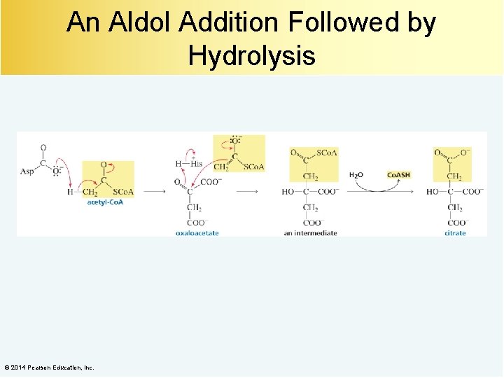 An Aldol Addition Followed by Hydrolysis © 2014 Pearson Education, Inc. 