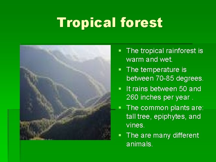 Tropical forest § The tropical rainforest is warm and wet. § The temperature is